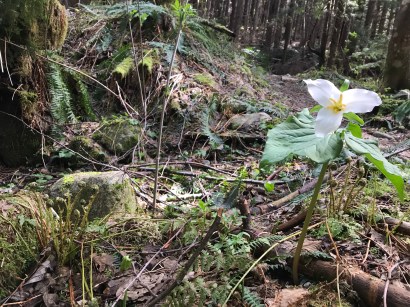 +A%Rxfy7QiOmm%LOfgX5Lg