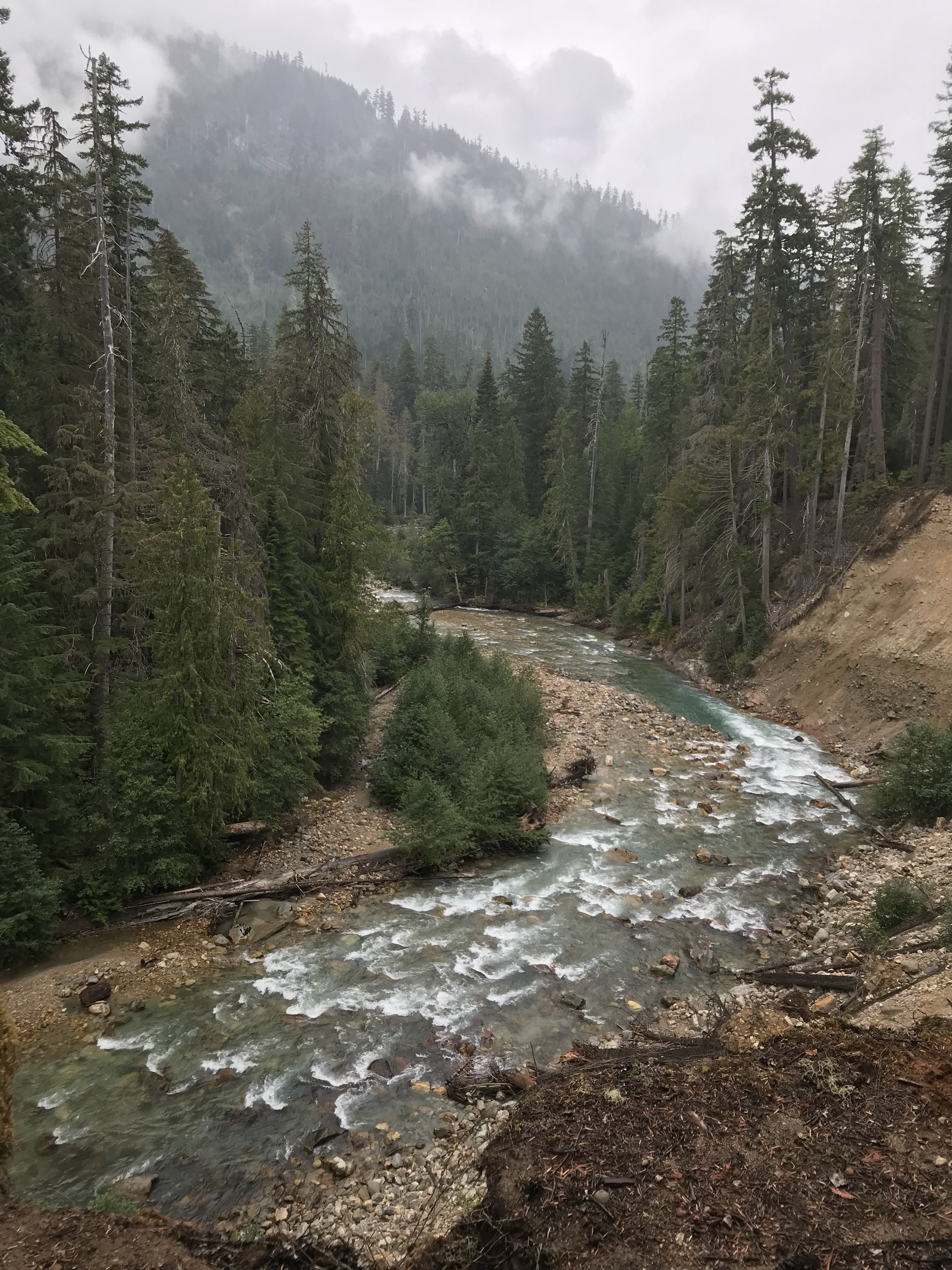 1dhRF5qkTC+Oc5wcV4mzJQ