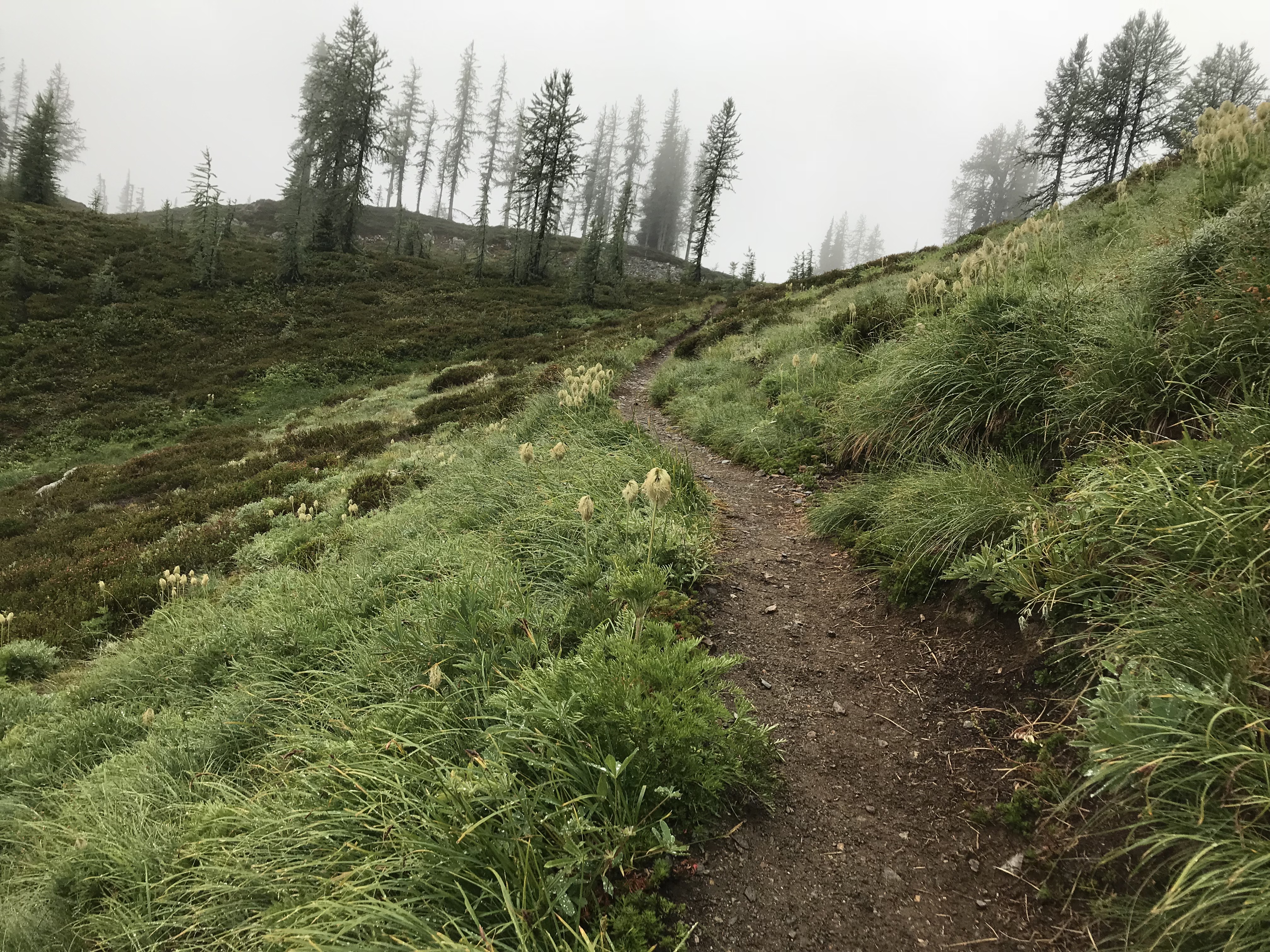 l5ZNGwPSQzafBm0KF%qspw