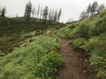 l5ZNGwPSQzafBm0KF%qspw