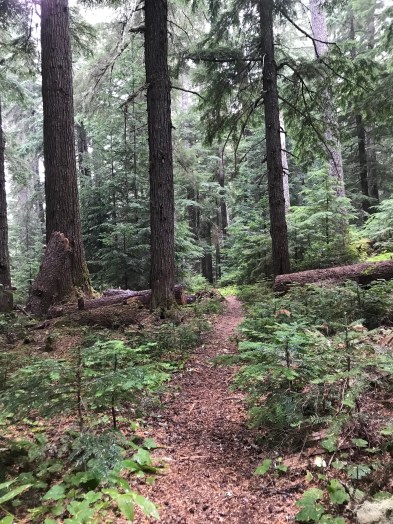 nyr5oxIkRr61kcjL6YbmKQ