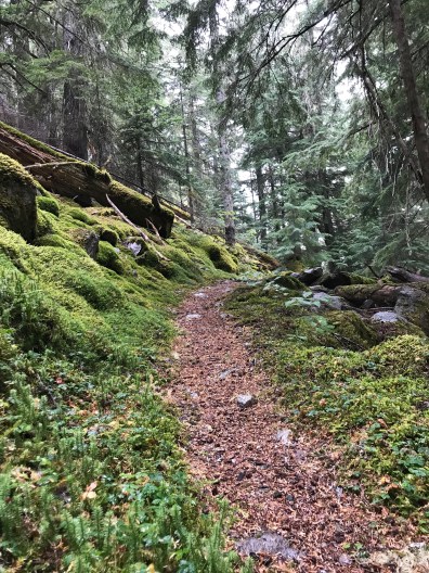 o9%maviKS06Ywczk+PmUuA