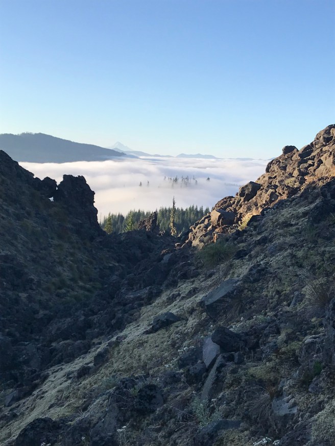 3fBIaa8MRvS9E1HkoptMyA